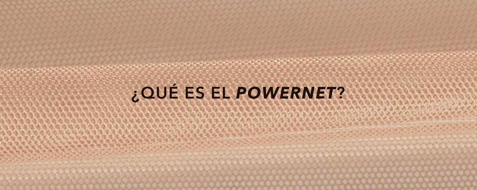 ¿Qué es el POWERNET?