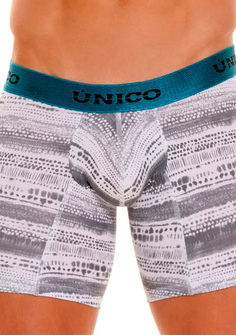 BOXER MEDIO RACIAL