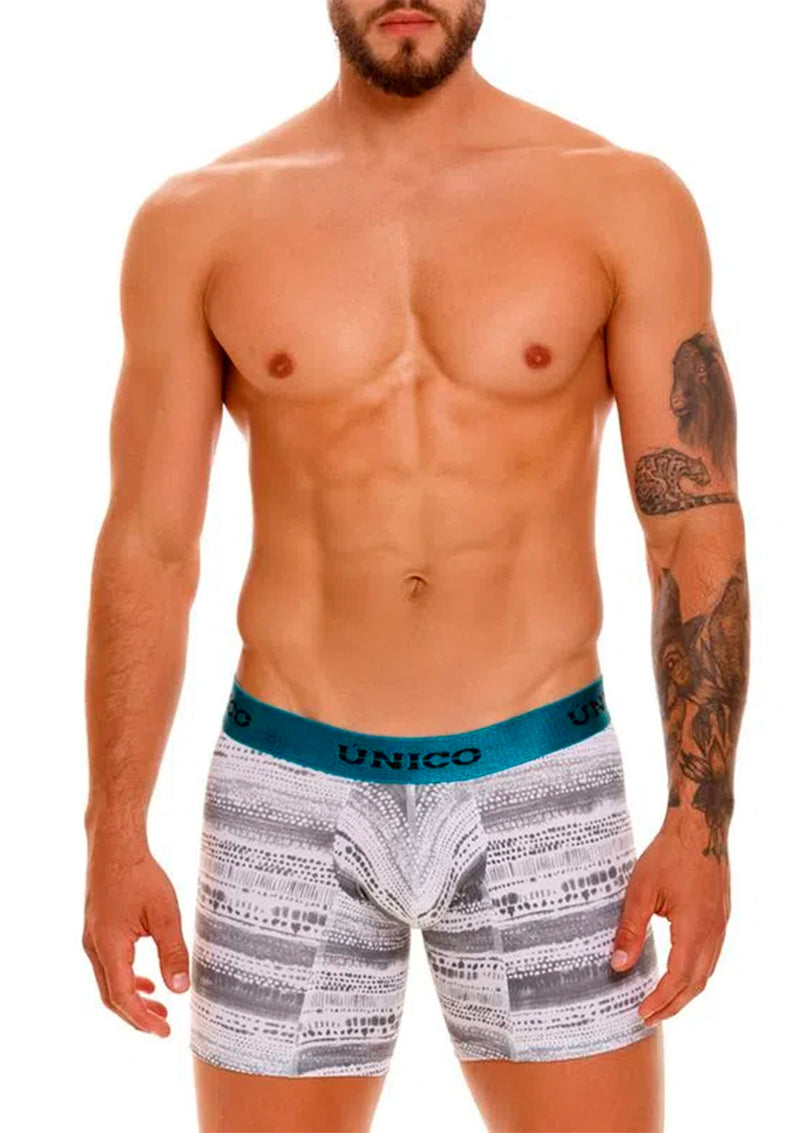 BOXER MEDIO RACIAL