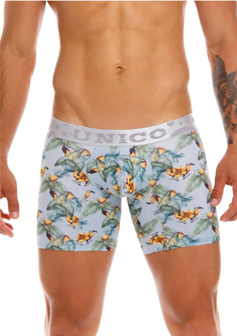 BOXER COPA MEDIO SHELTER